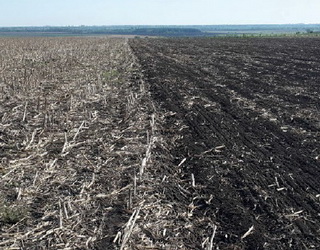 В Україні тільки 0,6 млн га ґрунтів обробляється за технологією no-till